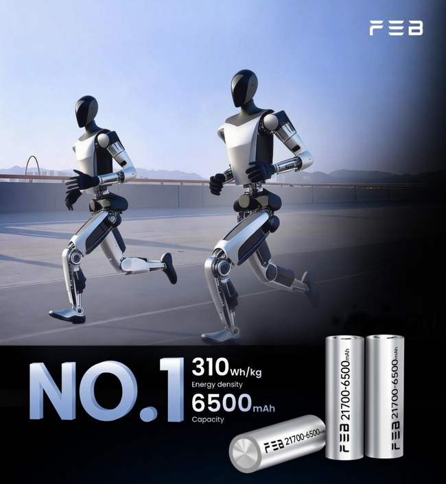 Far East Battery (FEB)